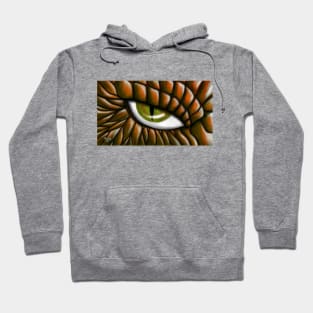 The Eye of the Wiser One Hoodie